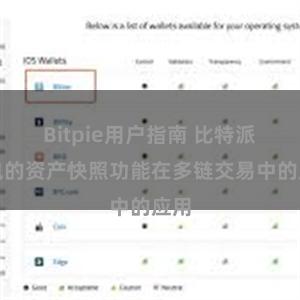 Bitpie用户指南 比特派钱包的资产快照功能在多链交易中的应用